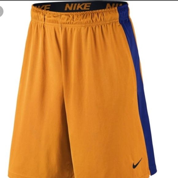 Nike Other - Nike Dri Fit 9” Fly Athletic Training Shorts